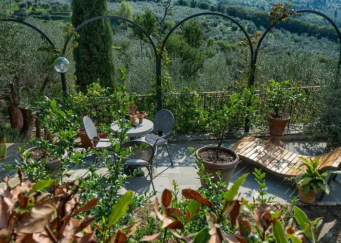Villa Maria - In The Hills Above Florence