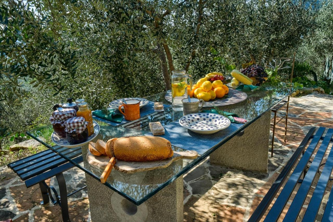Villa Maria - In The Hills Above Florence Castiglione (Florence)